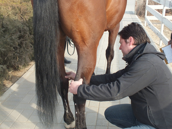 DSCF5155_1文图二.JPG