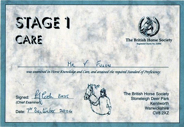 yang-Stage 1-care 1.jpg