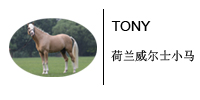 TONY.jpg