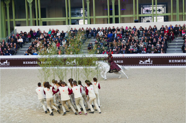 19 La Nature au Galop by Bartabas--.jpg