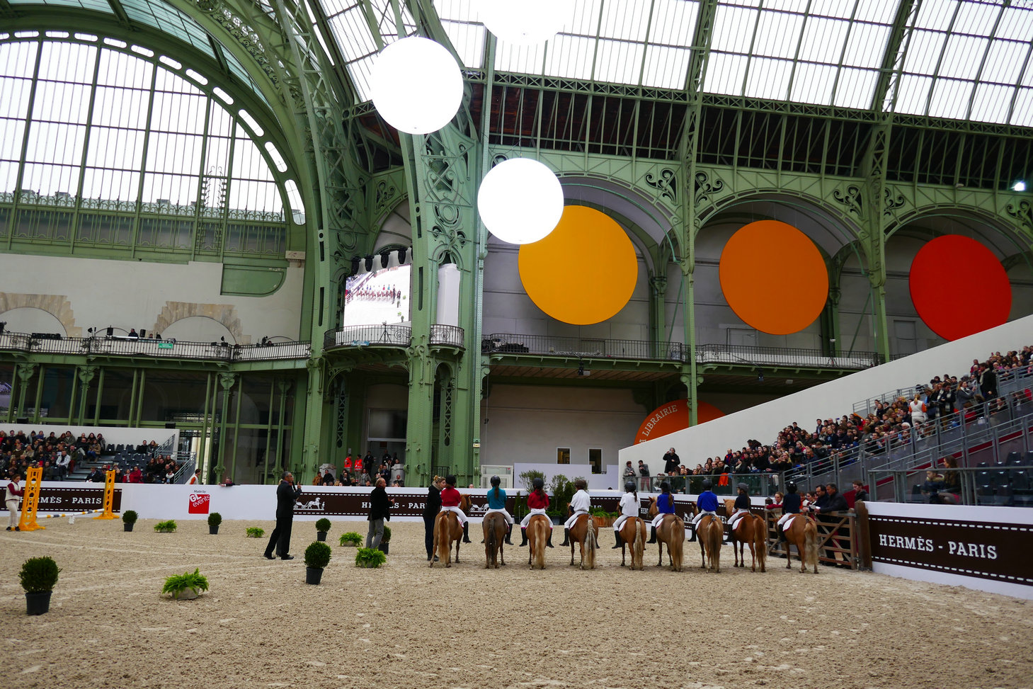 24 Poney Shetland Race_1.jpg