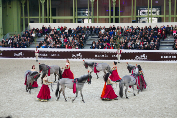 20 La Nature au Galop by Bartabas4--.jpg