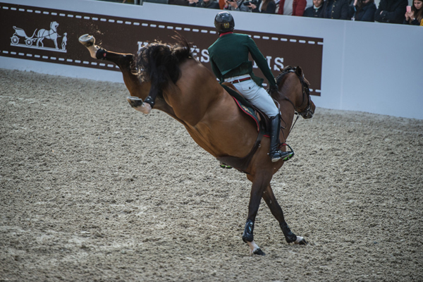 10 d4s_5009-2600-1024x682.jpg