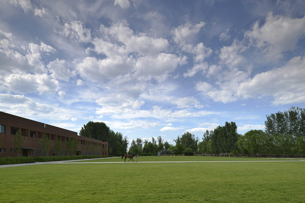 10 tx-043_1.jpg