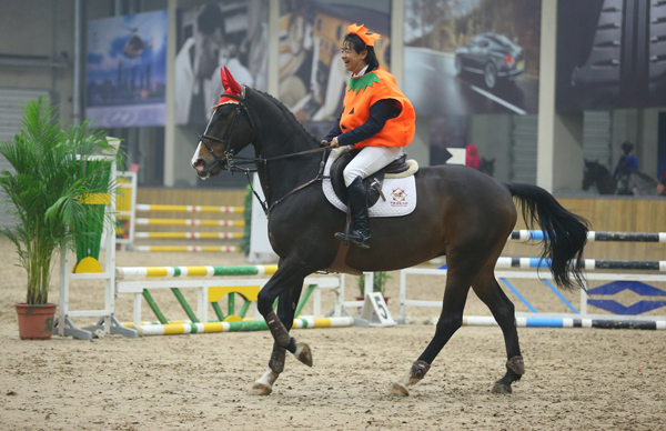 D86P8017_1.JPG