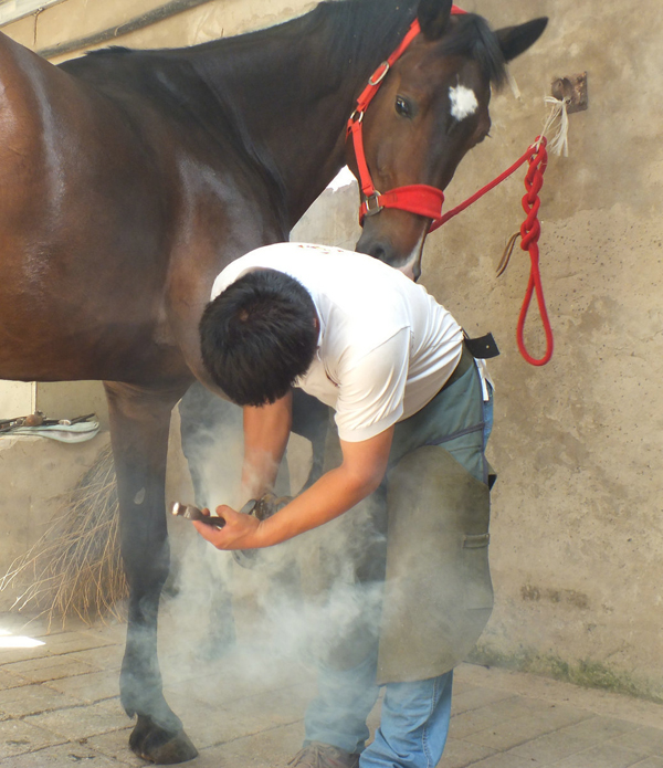 高DSCF8987_1-001.JPG