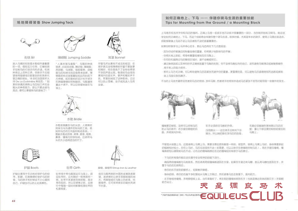 IMG_0332_1.PNG